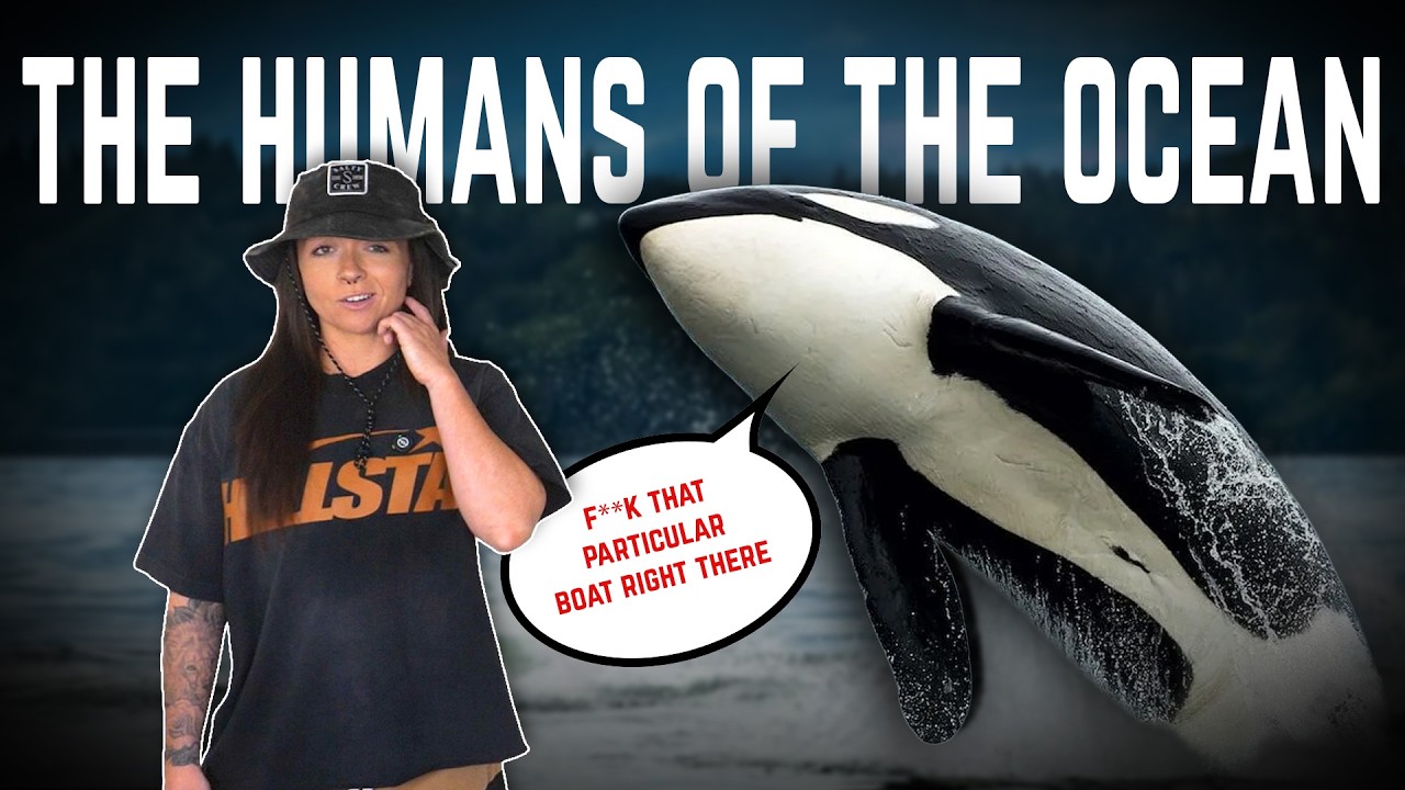 Why Are Orcas So Horrific? ft. Orcaman (That We Know Of) | Lindsay Nikole