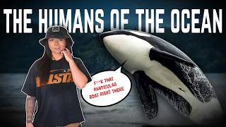 Why Are Orcas So Horrific? ft. Orcaman (That We Know Of) | Lindsay Nikole MQDEFAULT Thumbnail