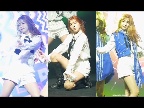 Aim Rosequad cover IZ*ONE @MINIZIZE COVER DANCE 2020 Final (SS 2) - Fancam - 17.10.2020
