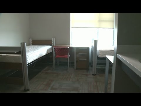 Timeline: A look back at March 11, 2020