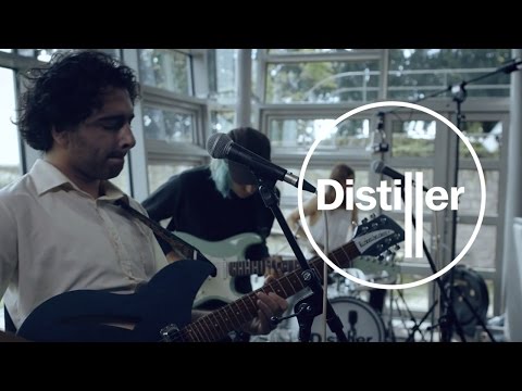 FEWS - The Zoo | Live From The Distillery