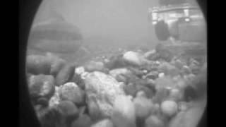 preview picture of video 'Underwater Camera filming chum salmon'
