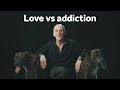 Love Vs Addiction Dogs Mayhew
