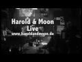 Harold & Moon - Take My Love With You (Bonnie Raitt Cover) - Harold & Moon Harold & Moon - Take My Love With You (Bonnie Raitt Cover)