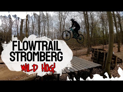 Flowtrail Stromberg 2021 | Wild Hog mit allen Sprüngen | Propain Tyee | GoPro 9 | Bike and Ride