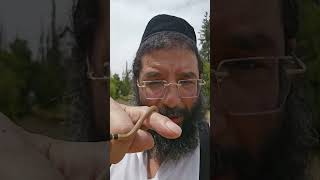 תפילת הדרך לנחש