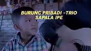 Download lagu VIRAL!!BOCIL INI MENYANYIKAN LAGU BURUNG PRIBADI YANG BIKIN NGAKAK😂😂#SHORTS#bocil#tiktok#pengamen mp3