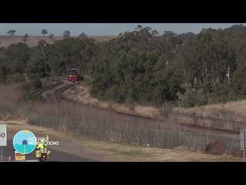 Diesel Locomotive 4702 - Empty Carriage Transfer - June 2023