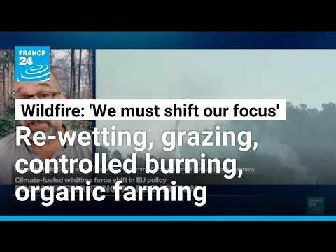 Wildfire prevention requires 'nature-based solutions': Land 'treating us' the way we treat the land