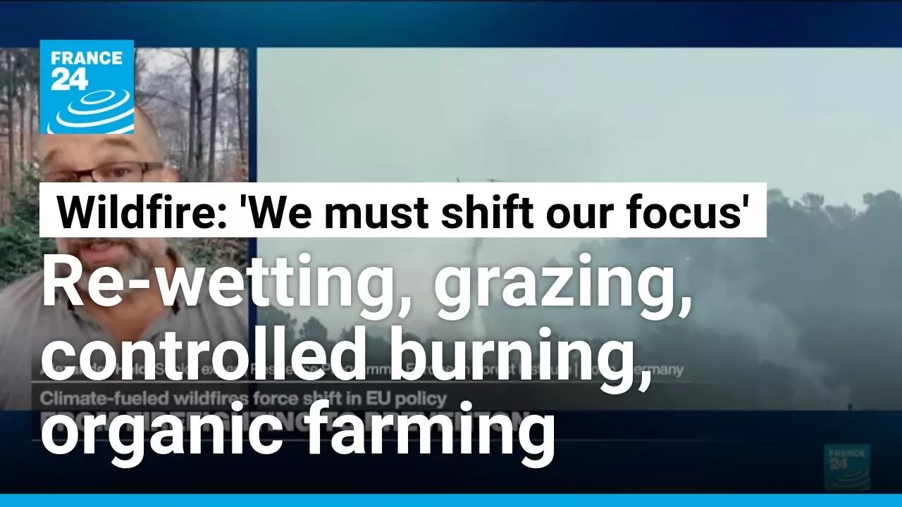 Wildfire prevention requires 'nature-based solutions': Land 'treating us' the way we treat the land