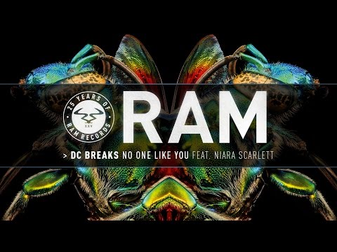DC Breaks - No One Like You Feat. Niara Scarlett