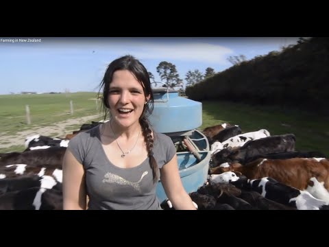 Farming in New Zealand