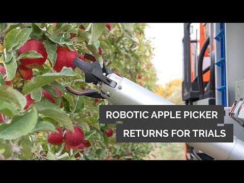 Robotic apple harvester making headway