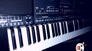Download lagu شرح تتبيث lower(شوار) في كورج korg pa 600 QT mp3 Download lagu شرح تتبيث lower(شوار) في كورج korg pa 600 QT mp3
