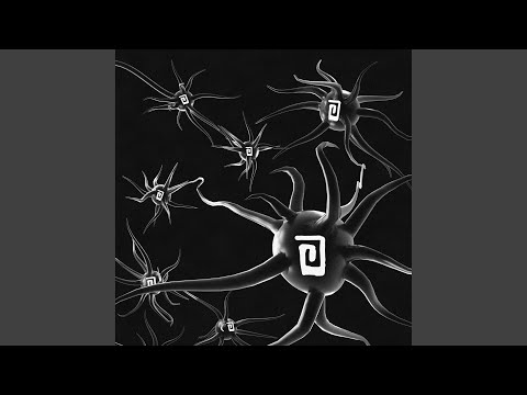 sincero xo no del todo