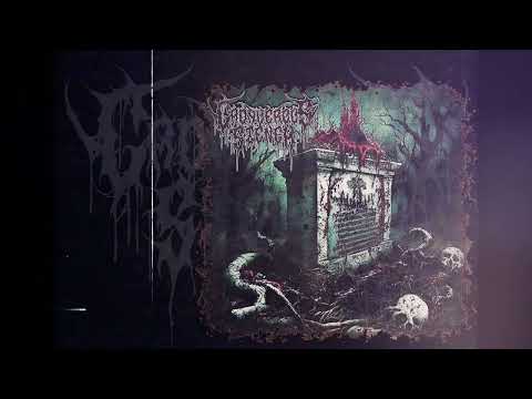 Cadaverous Stench - The Hell I Saw guitar playthrough