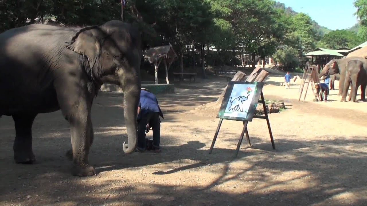 Elephant Paints Self Portrait
