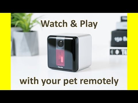 Invention a Day - Episode #57: Petcube Play