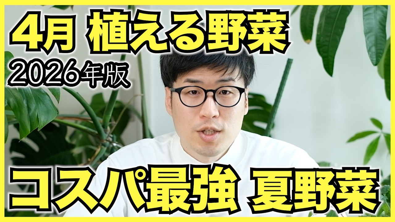 【2026年版】家庭菜園で4月に植えるおすすめ野菜ランキングベスト5【夏野菜】