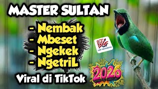 Download lagu Materinya ngeri !! MASTERAN CUCAK IJO FULL ISIAN TEMBAKAN SULTAN‼️ mp3