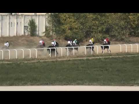 Trka "Magrana" 20.10.2019 Four Fifty Three - Miloš Milojević