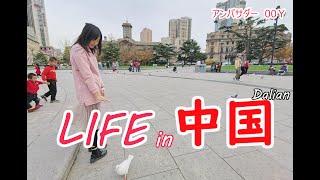 中国　大連　三八市場