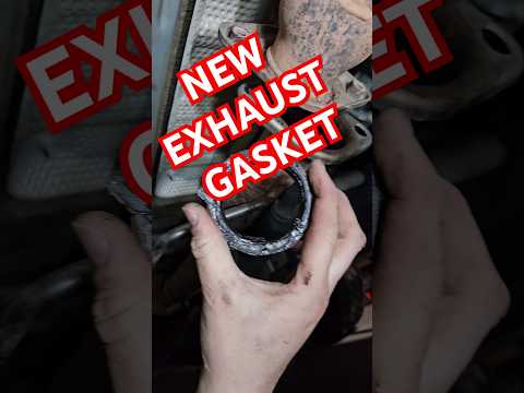 New Exhaust Gasket