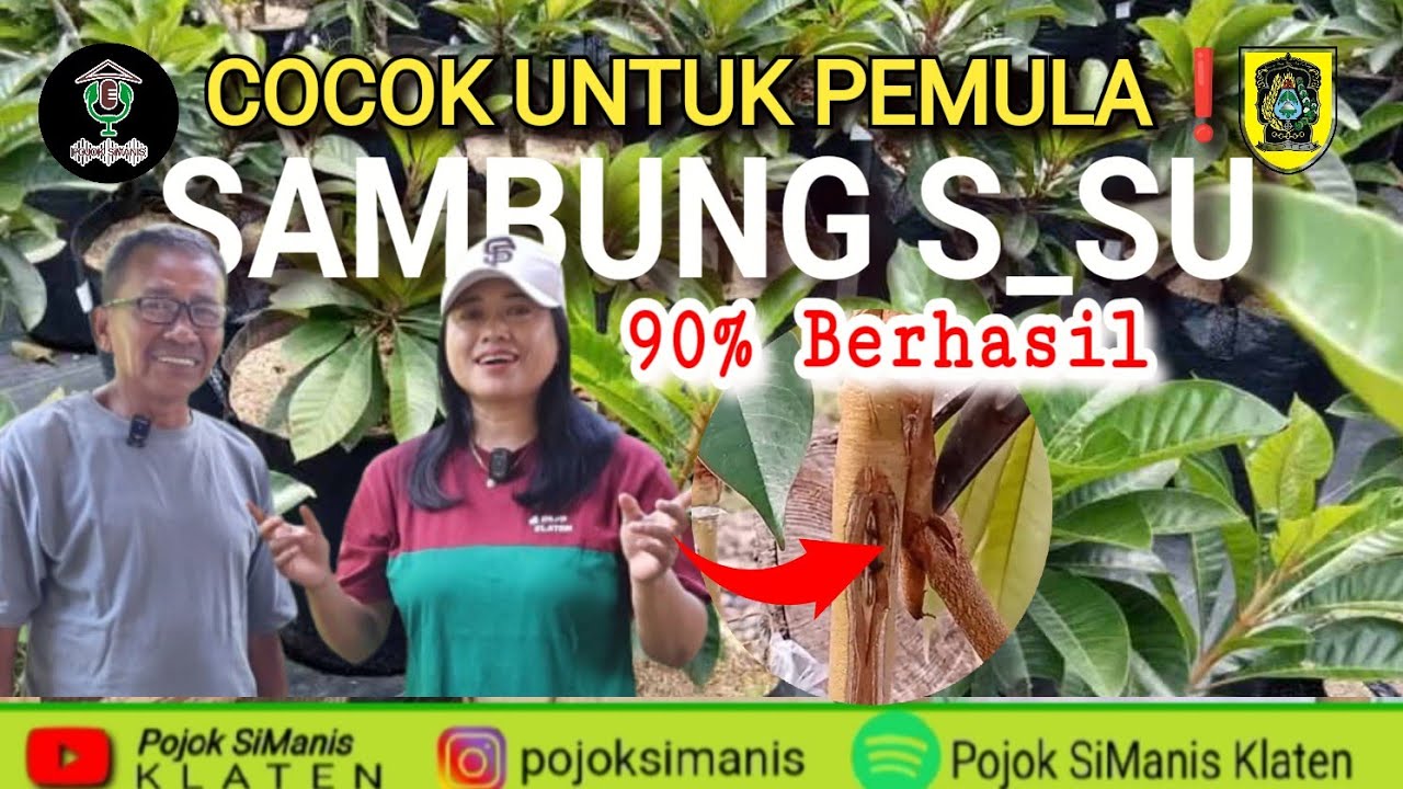 PEMULA PASTI BISA❗RAHASIA SAMBUNG 5U5U 90