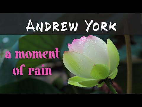 Andrew York - a moment of rain - Contemporary Classical Acoustic Guitar Music