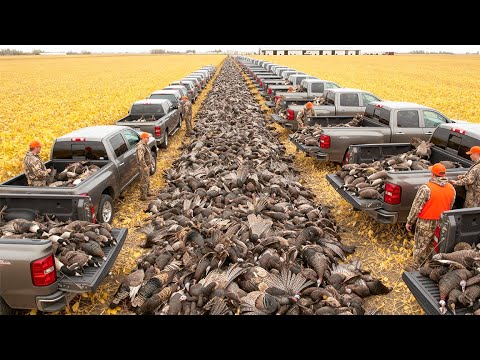 2,000 Wild Birds in 1 Hour 💥 Record Hunt in the U.S. 🔥