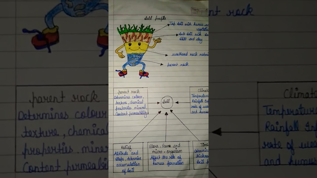Class 8 Geography Chapter 2 lands, soil, water, natural, vegetation and wildlife resources (notes)