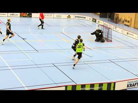 Juniorallsvenskan Åstorp/Kvidinge IBS - Lomma FBC 9-6