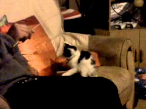 Zorro'kie-Janita Marx