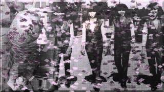 Burung Kakaktua - Dara Puspita