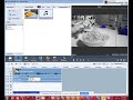 How To Make Polory The Bear Chorded On AVS