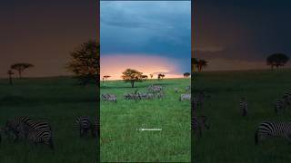 The Most beautiful place in Tanzania 🇹🇿 #shorts