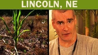America&#39;s About to Starve To Death | Henry Rollins&#39; Capitalism: Lincoln, Nebraska | TakePart TV