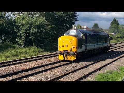 37425 Concrete Bob Compilation tones and a bit of thrash