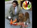 Vybz Kartel - Mi Remember [Kingston Story Album ...