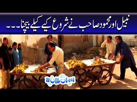 Nabeel Aur Mehmood Sahab Ne Shuru Kiye Kelay Bechne - Bulbulay