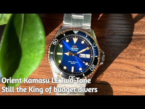 New Orient Kamasu LE - still the King of budget divers