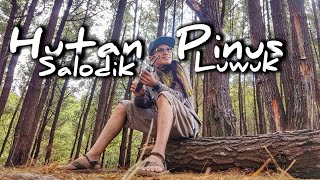 preview picture of video 'Wisata Alam Hutan Pinus Salodik Luwuk - Kabupaten Banggai - Sulawesi Tengah'