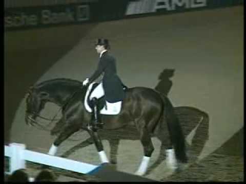 Diamond Hit stallion