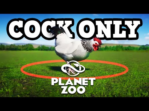 I Built A Zoo Of Infinite Suffering - The Planet Zoo 100 Year Challenge