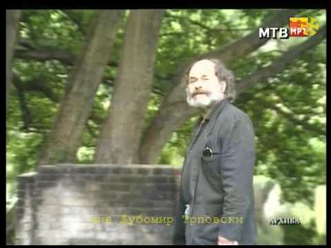 Диме Поповски - Убавино насмевни се (Стефанија) / Dime Popovski - Ubavino nasmevni se (Stefanija)