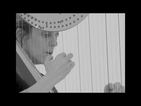 ○ˉ Zeena Parkins at Semibreve 2021