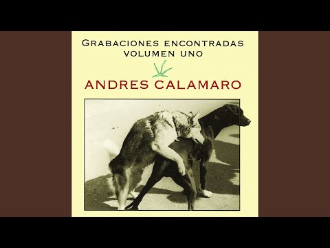 Video thumbnail for Libros sapienciales