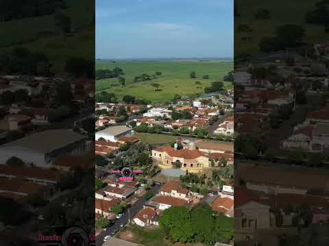 Santa Ernestina SP Shorts