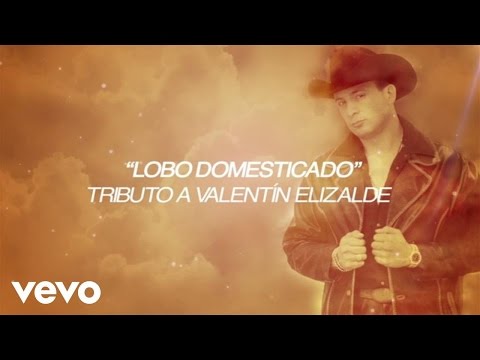 José Manuel Figueroa - Lobo Domesticado (Lyric Video)