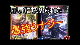 【シャドバ】コントロールデッキに超強い！環境最後の調整版魔海疾走ドラゴンの紹介【シャドウバース】